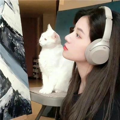 欲望迷踪