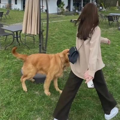 卿何薄命之羔羊少女